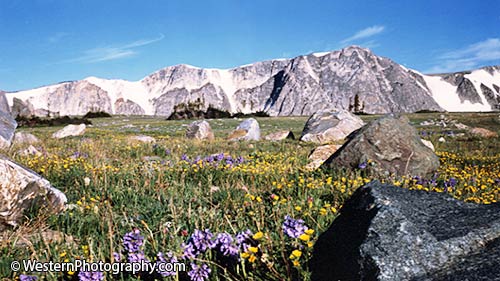 The Snowy Range mountains.